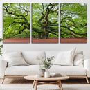 Framed Angel Oak Tree Wall Art - 3-Panel Canvas Prints,