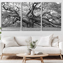 Black White Angel Oak Tree Wall Art - Timeless
