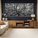 Majestic Angel Oak Tree Black and White Canvas Print – Multi by MyGreatCanvas | Canvas Wall Art Prints | Photo Prints & Wall Decor