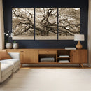 Sepia Framed Angel Oak Tree Wall Art - 3-Panel Canvas by MyGreatCanvas | Canvas Wall Art Prints | Photo Prints & Wall Decor