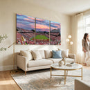Carter-Finley Stadium Art Sunset Game Triple Canvas Wall Art