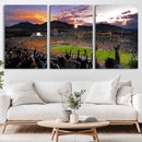 Framed Colorado Buffaloes Football Team Print - Boulder