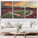 Camp Randall Stadium Wisconsin Badgers Large Wall Art Canvas