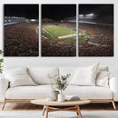 Wisconsin Badgers Football Team Print - Madison Camp Randall