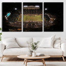 Wake Forest University Demon Deacons Canvas Printi, Football