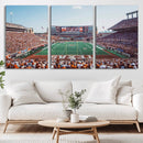 Framed Texas Memorial Stadium Canvas, University of Texas