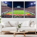 Wolfpack Football Team Print - Raleigh Carter-Finley Stadium