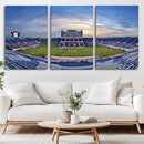 Florida Atlantic University Owls Football Team Print - Boca by MyGreatCanvas | Canvas Wall Art Prints | Photo Prints & Wall Decor