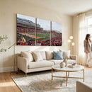 University of Illinois Fighting Illini Football Team Print -