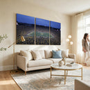University of Michigan Wolverines Football Team Print - Ann