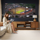 University of Michigan Wolverines Football Team Print - Ann