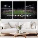 Cincinnati Bearcats Football Team Print - Nippert Stadium