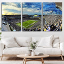 Framed USF Bulls Football Team Print - Tampa Raymond James by MyGreatCanvas | Canvas Wall Art Prints | Photo Prints & Wall Decor