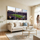 Buffalo Bills Football Team Print - Buffalo Highmark Stadium