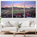 Indiana University Hoosiers Football Team Print -