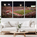 Indiana University Hoosiers Football Team Print Canvas