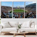 Michigan State Spartans Football Team Art Print - East