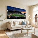 Michigan State Spartans Football Team Print - East Lansing