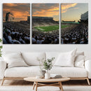 Michigan State Spartans Football Team Print - East Lansing