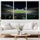 Framed Michigan State Spartans Football Team Print - East