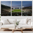 Michigan State Spartans Football Team Print - East Lansing
