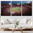 Ohio State University Buckeyes Football Team Print -
