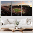 Ohio State University Buckeyes Football Team Print -