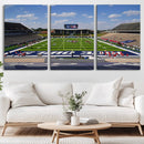 Rice University Owls Football Team Print - Houston Rice by MyGreatCanvas | Canvas Wall Art Prints | Photo Prints & Wall Decor