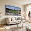 Rice University Owls Football Team Print - Houston Rice