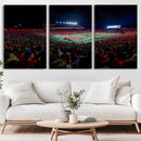 Rutgers Scarlet Knights Football Team Print - SHI Stadium,