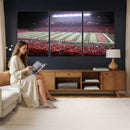 Rutgers University Scarlet Knights Football Team Print -