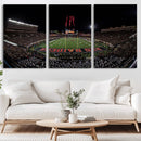 Framed Texas Tech Red Raiders Stadium Canvas, Texas Tech Red
