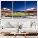 Rutgers Scarlet Knights Football Team Print - Piscataway SHI by MyGreatCanvas | Canvas Wall Art Prints | Photo Prints & Wall Decor