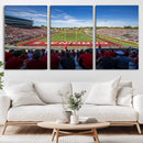 Ball State Cardinals Football Team Print - Muncie Scheumann