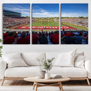 Ball State Cardinals Football Team Print - Muncie Scheumann