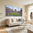 TCU Horned Frogs Football Team Print - Fort Worth Amon G.