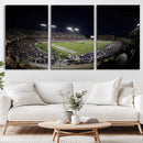TCU Horned Frogs Football Team Print - Fort Worth Amon G.