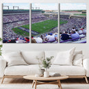 The Texas Christian University TCU Horned Frogs Football