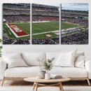 The Temple University Owls Athletics Team Print -