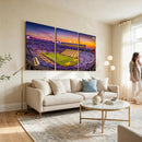 The Louisiana State University Tigers Football Team Print -
