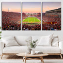 The University of Southern California USC Trojans Football by MyGreatCanvas | Canvas Wall Art Prints | Photo Prints & Wall Decor