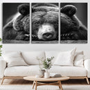 Resting Grizzly 399 Bear Canvas Print | Ready to Hang Wall