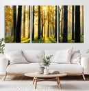 Sunlit Forest Wall Art Canvas Print – Large Framed Woodland