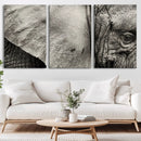 Elephant Wall Art Canvas Print