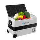 53 Quarts Portable Electric Car Cooler Refrigerator by LJGDeals