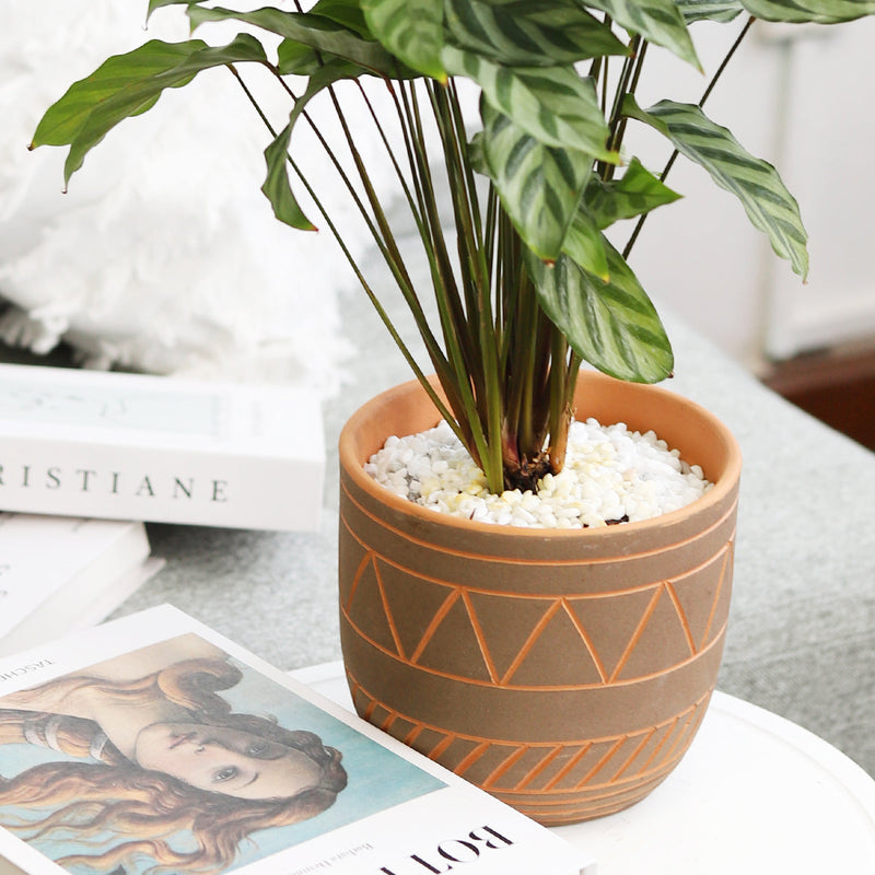 5.5 inch Black-Clay Color Geometric Pattern Pot