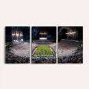 Penn Stadium Football Wall Art Canvas Print, Pennsylvania