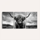 Scottish Cow Wall Art Canvas Print | Longhorn Wall Art |