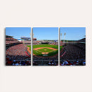 Cincinnati Reds Baseball Canvas Print - American Ball
