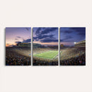 Notre Dame Fighting Irish Football Team Print - Notre Dame